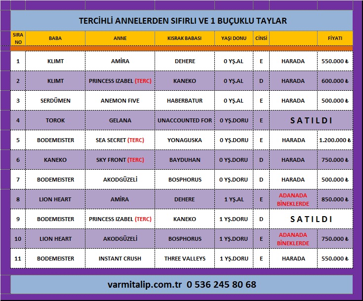 TERCİHLİ ANNELERDEN TOROK,KANEKO,BODEMEISTER,LION HEART,KLIMT VE SERDÜMEN TAYLARI